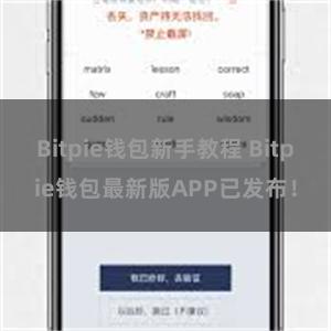 Bitpie钱包新手教程 Bitpie钱包最新版APP已发布！