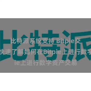 比特派系统支持 Bitpie交易指南：快速了解如何在Bitpie上进行数字资产交易