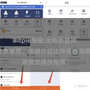 Bitpie加密 比特派提现流程及注意事项，详细介绍比特派提现操作指南。