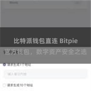比特派钱包直连 Bitpie官方钱包，数字资产安全之选