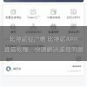 比特派客户端 比特派APP直连教程，快速解决连接问题