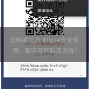 比特派官方 Bitpie安全保障：数字资产防盗无忧！