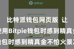 比特派钱包网页版  让用户在使用Bitpie钱包时感到精真金不怕火景况