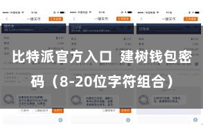 比特派官方入口  建树钱包密码（8-20位字符组合）