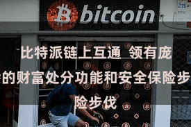 比特派链上互通  领有庞杂的财富处分功能和安全保险步伐