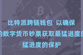 比特派跨链钱包  以确保用户的数字货币钞票获取最猛进度的保护