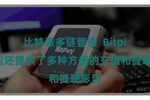 比特派多链管理  Bitpie钱包还提供了多种方便的充值和提现形势