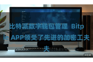 比特派数字钱包管理 Bitpie APP领受了先进的加密工夫