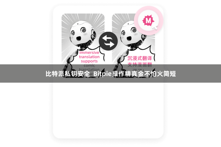 比特派私钥安全  Bitpie操作精真金不怕火简短