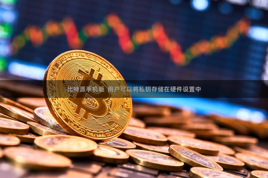 比特派手机版  用户可以将私钥存储在硬件设置中